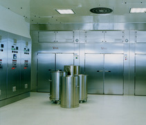 ISO 7 dry heat sterilizer in clean room