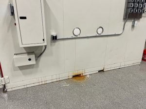 Chamber Stain Water Quality
